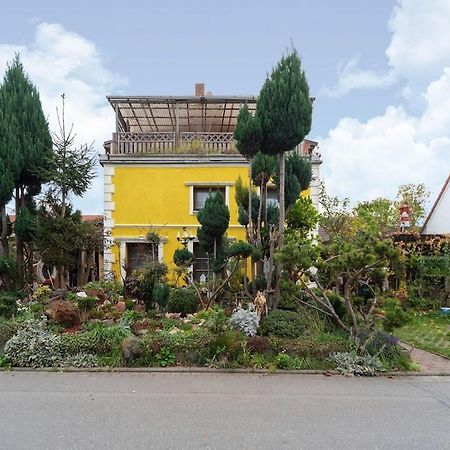 Holiday Flat With Garden In Wißmar Exterior foto